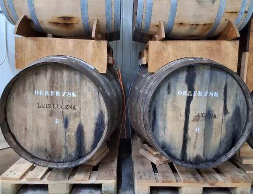 De Oerfrysk Whisky september 2025 komt eraan.
